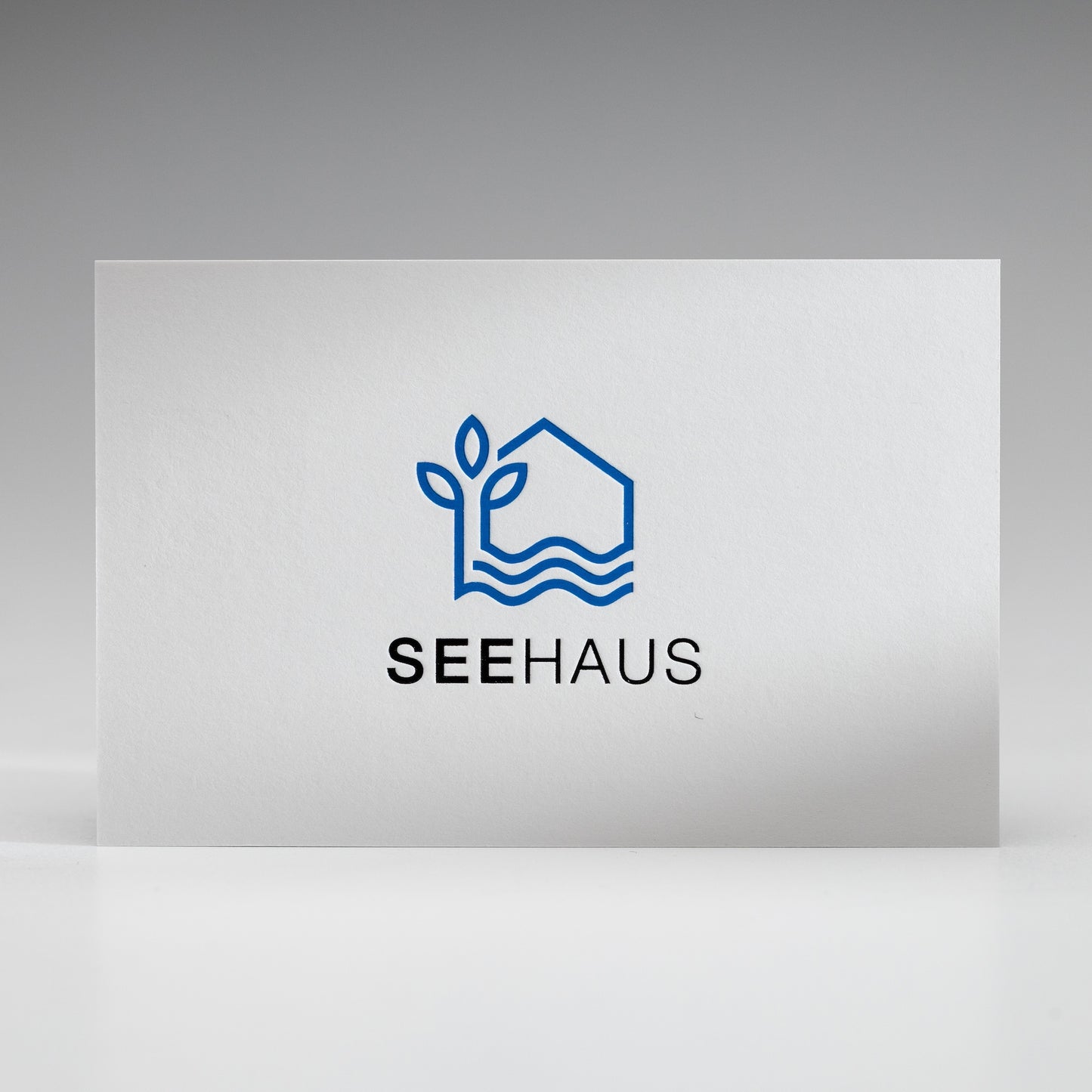 Visitenkarten mit Heißfolienprägung: Beispiel SEEHAUS
