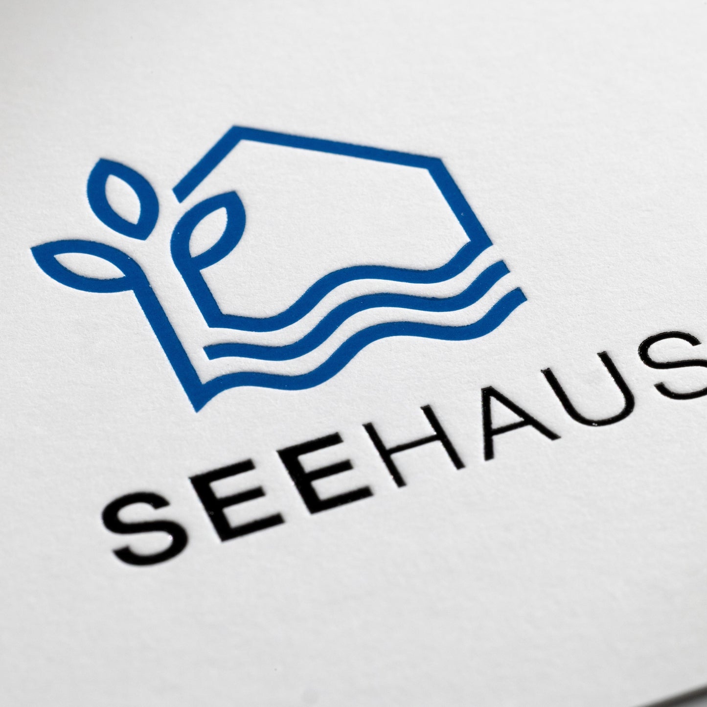Visitenkarten mit Heißfolienprägung: Beispiel SEEHAUS